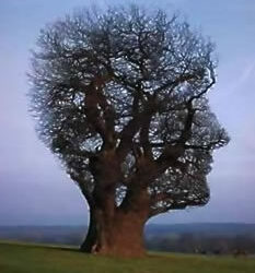 # Entrevista com Giscar Otreblig (Guia de Produção Textual da Puc-RS)