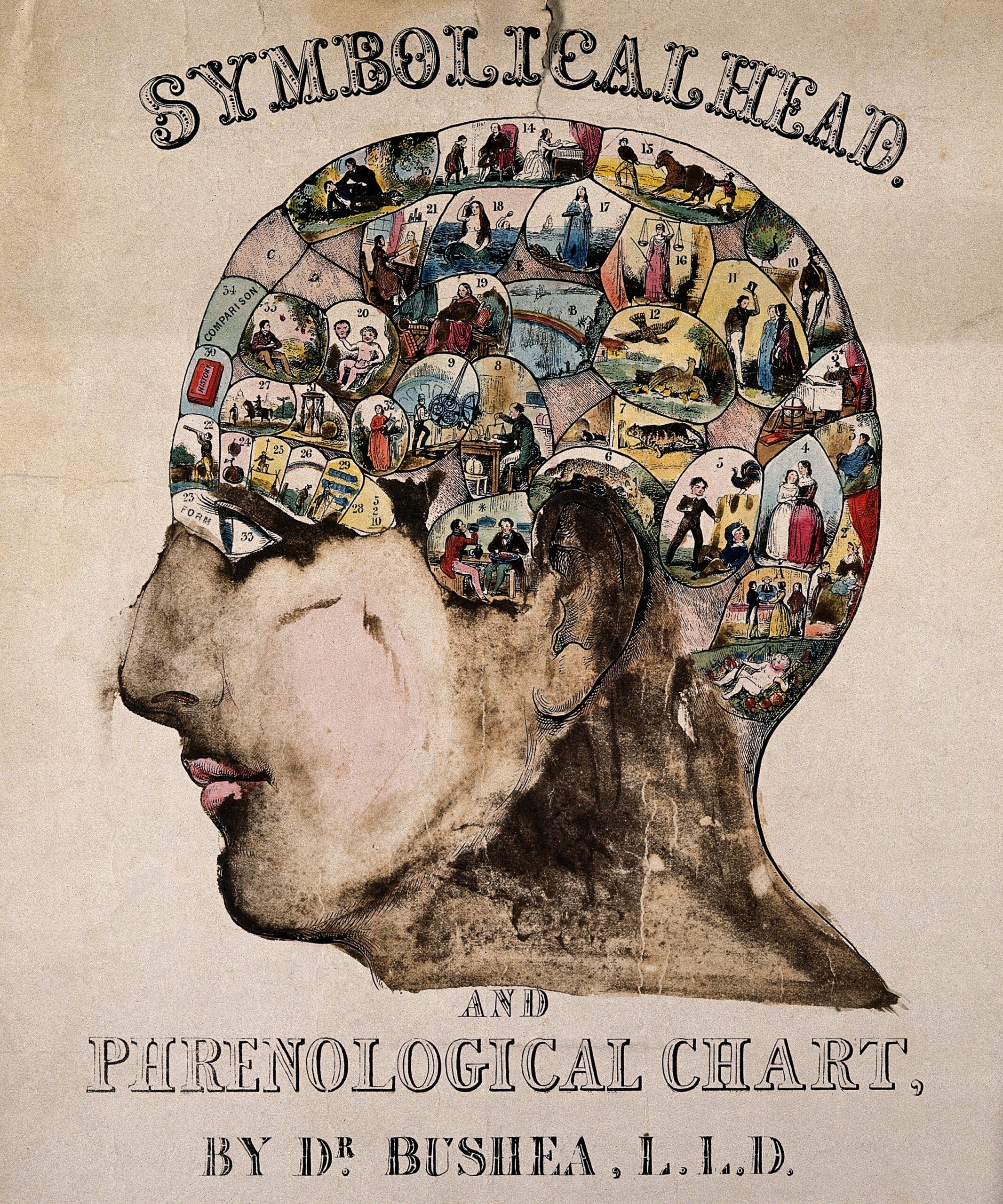 Gravura antiga colorida de uma cabeça simbólica frenológica, com ícones representando faculdades mentais. Wellcome Collection, c. 1845, CC BY 4.0