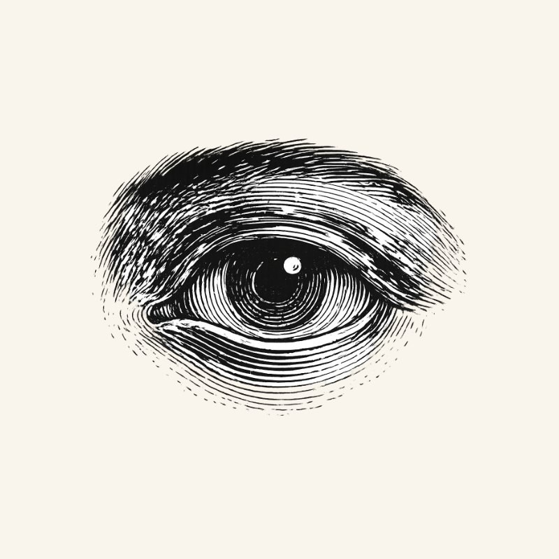 Gravura vitoriana de um olho, ilustrando o olhar crítico de quem escreve